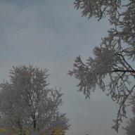 Dendis