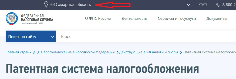 Отображение региона на сайте ФНС